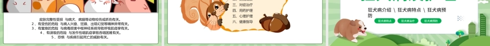 2022狂犬病介绍及护理PPT卡通风狂犬病介绍预防课件模板.pptx