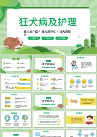 2022狂犬病介绍及护理PPT卡通风狂犬病介绍预防课件模板.pptx
