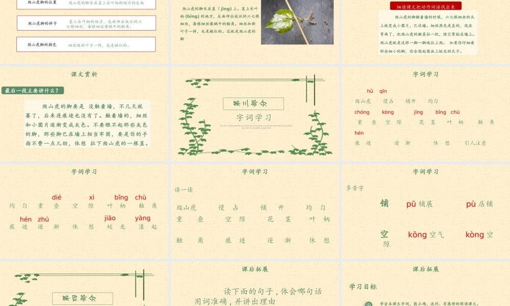 2022爬山虎的脚PPT第10课小学四年级语文上册部编人教版教学课件 (2).pptx