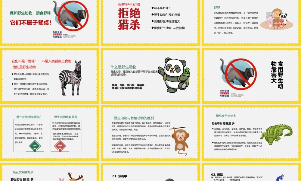 2022世界动物日PPT卡通插画风中小学生拒食野生动物主题班会课件模板下载.pptx