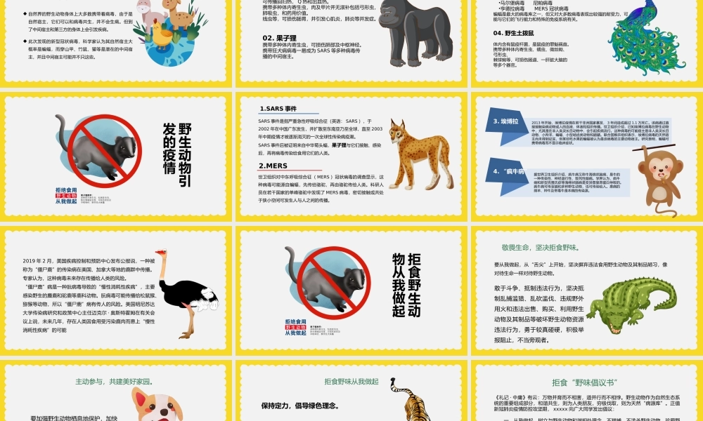 2022世界动物日PPT卡通插画风中小学生拒食野生动物主题班会课件模板下载.pptx