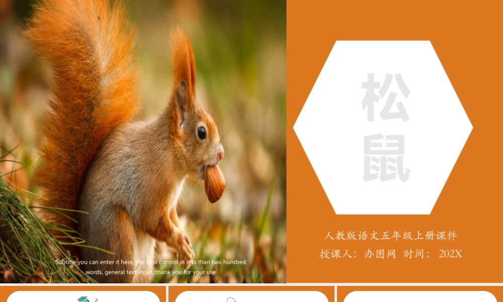 2022松鼠PPT第17课小学五年级语文上册部编人教版教学课件.pptx