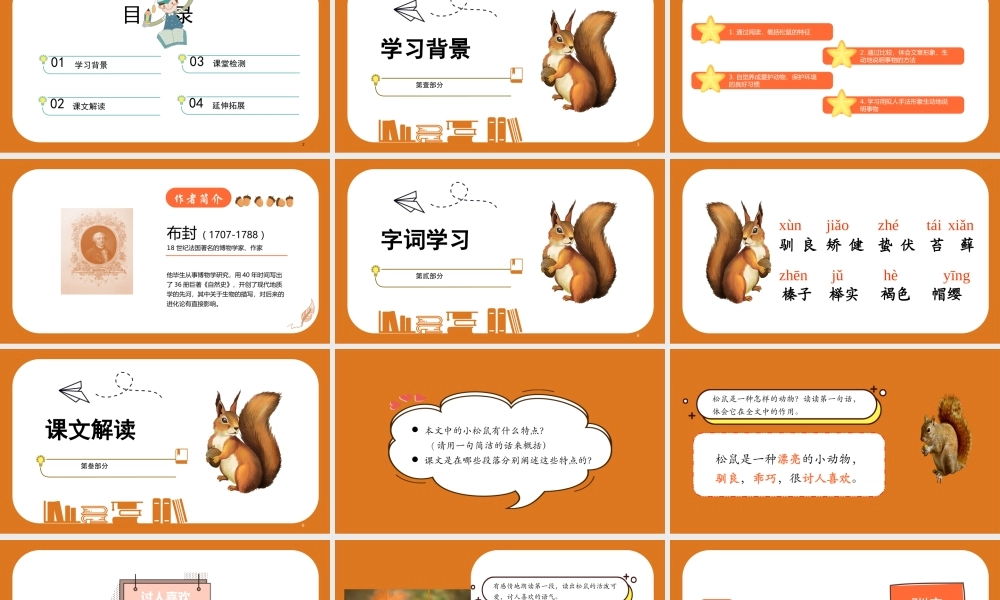 2022松鼠PPT第17课小学五年级语文上册部编人教版教学课件.pptx