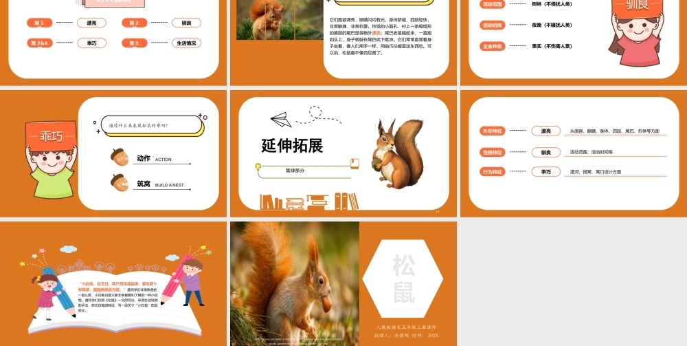 2022松鼠PPT第17课小学五年级语文上册部编人教版教学课件.pptx