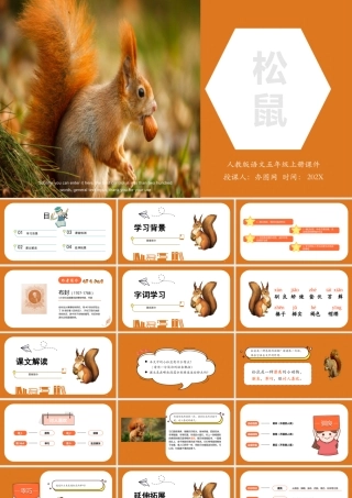 2022松鼠PPT第17课小学五年级语文上册部编人教版教学课件.pptx