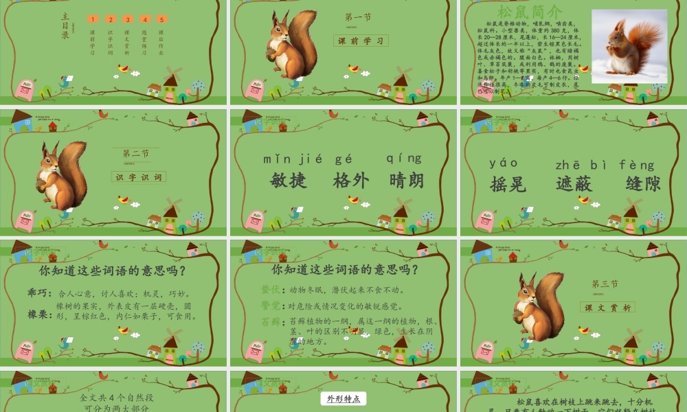 2022松鼠PPT卡通风第17课小学五年级语文上册部编人教版教学课件.pptx