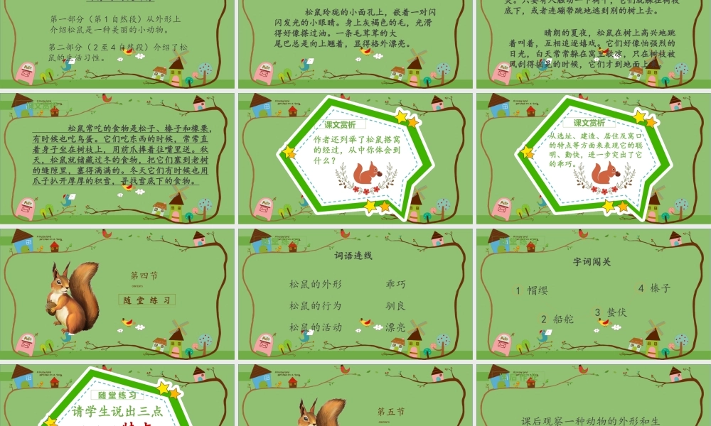 2022松鼠PPT卡通风第17课小学五年级语文上册部编人教版教学课件.pptx