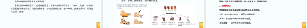 2022糖尿病PPT创意清新医疗教学通用PPT.pptx