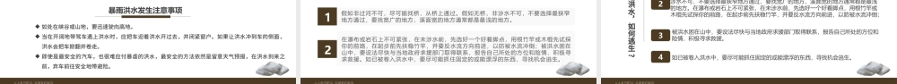 2022汛期自救常识PPT简约卡通风人人参与防洪共建美好家园主题课件模板.pptx