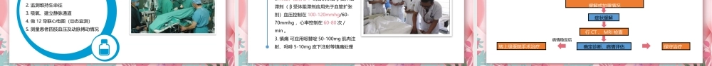 2022主动脉夹层的急救护理PPT创意清新风医学行业通用PPT.pptx