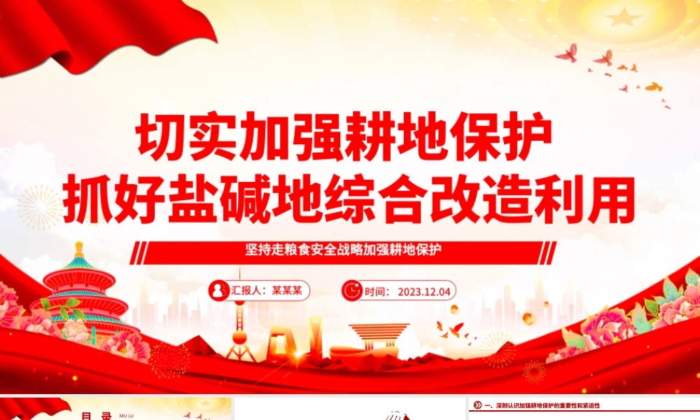 2023切实加强耕地保护抓好盐碱地综合改造利用ppt大气精美坚持走粮食安全战略 加强耕地保护党组织专题党课教育课件.pptx