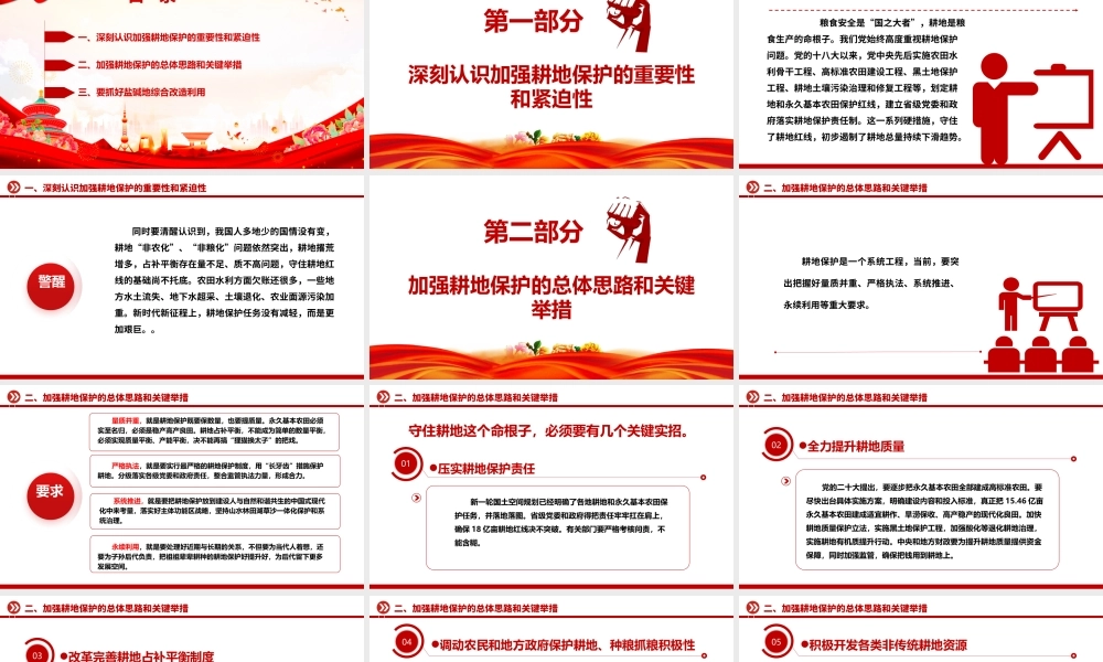 2023切实加强耕地保护抓好盐碱地综合改造利用ppt大气精美坚持走粮食安全战略 加强耕地保护党组织专题党课教育课件.pptx