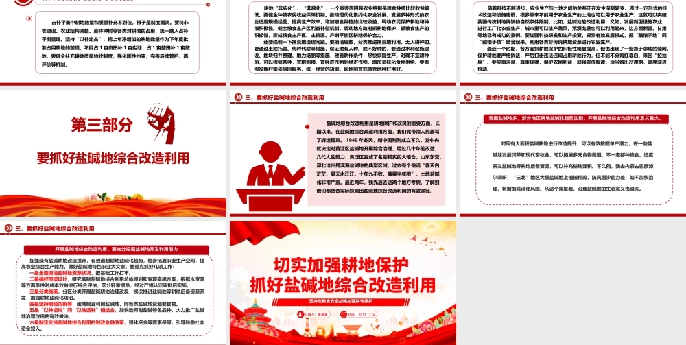 2023切实加强耕地保护抓好盐碱地综合改造利用ppt大气精美坚持走粮食安全战略 加强耕地保护党组织专题党课教育课件.pptx