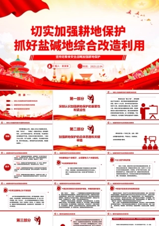 2023切实加强耕地保护抓好盐碱地综合改造利用ppt大气精美坚持走粮食安全战略 加强耕地保护党组织专题党课教育课件.pptx