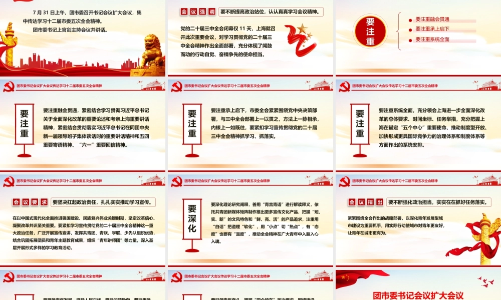 2024团市委书记会议扩大会议传达学习十二届市委五次全会精神PPT下载.pptx