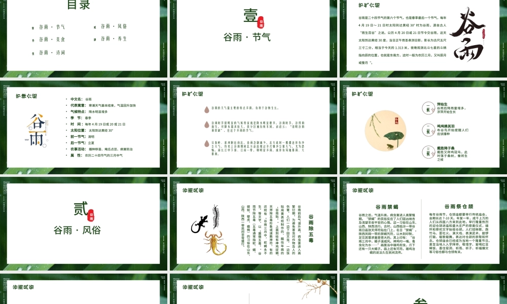 传统文化二十四节气时尚简约谷雨节介绍PPT.pptx