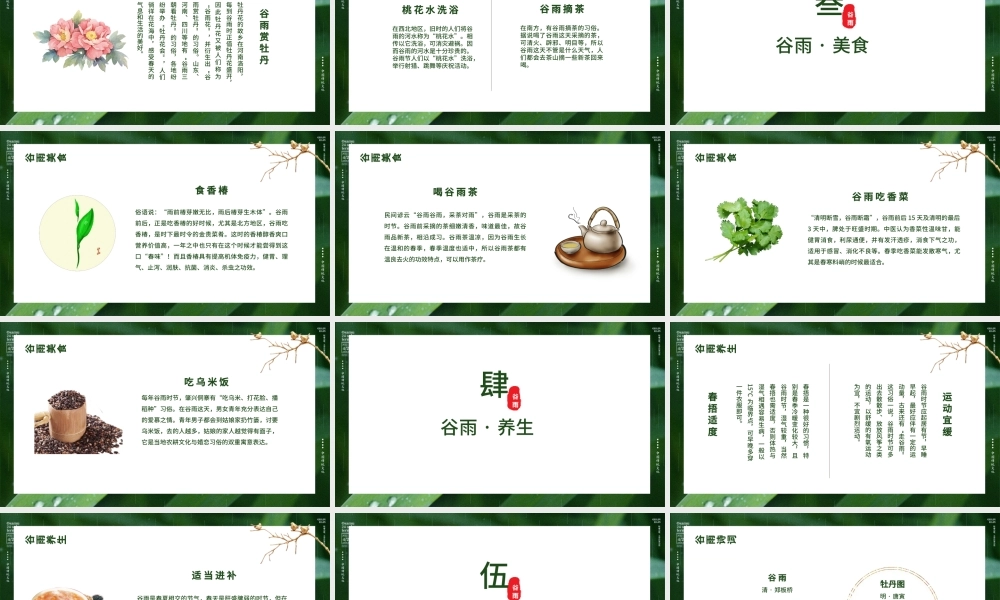 传统文化二十四节气时尚简约谷雨节介绍PPT.pptx
