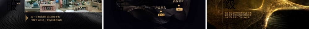 大气高端黑金商务新品发布会PPT模板.pptx