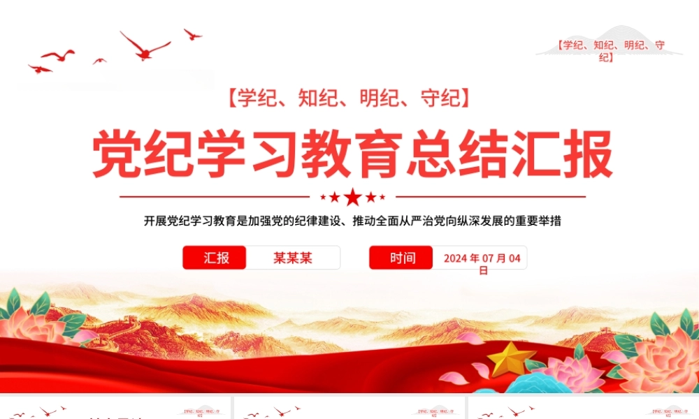 党纪学习教育总结汇报PPT精美创意2024年党政部门工作总结模板.pptx