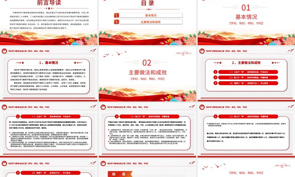 党纪学习教育总结汇报PPT精美创意2024年党政部门工作总结模板.pptx