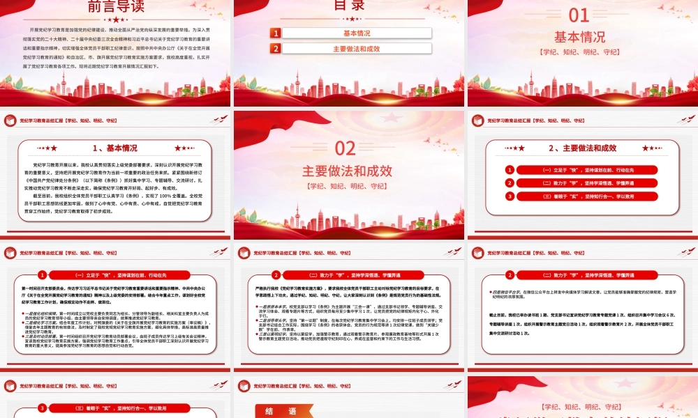 党政部门2024年党纪学习教育总结汇报PPT模板课件.pptx