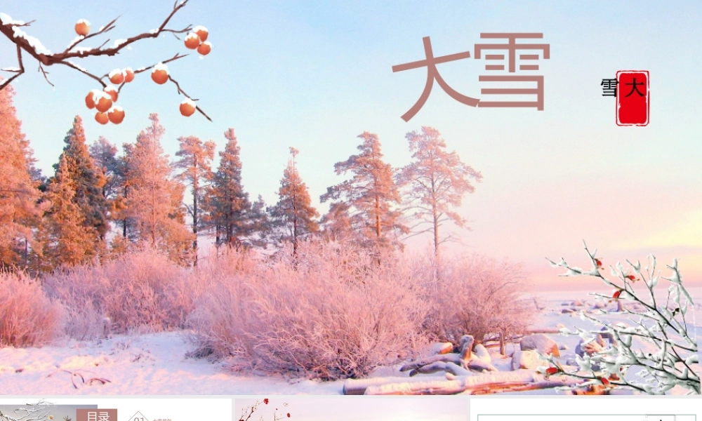 二十四节气之大雪PPT模板通用.pptx