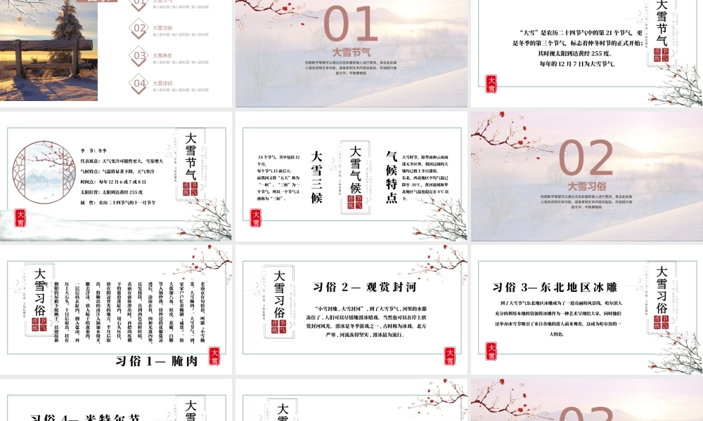 二十四节气之大雪PPT模板通用.pptx