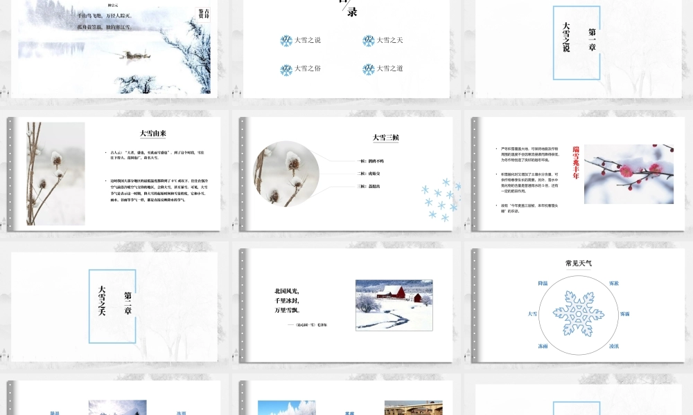 二十四节气之大雪白色简约PPT模板.pptx