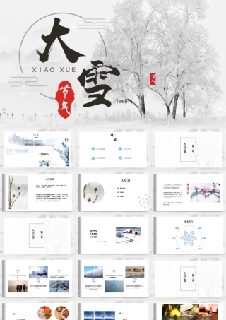 二十四节气之大雪白色简约PPT模板.pptx