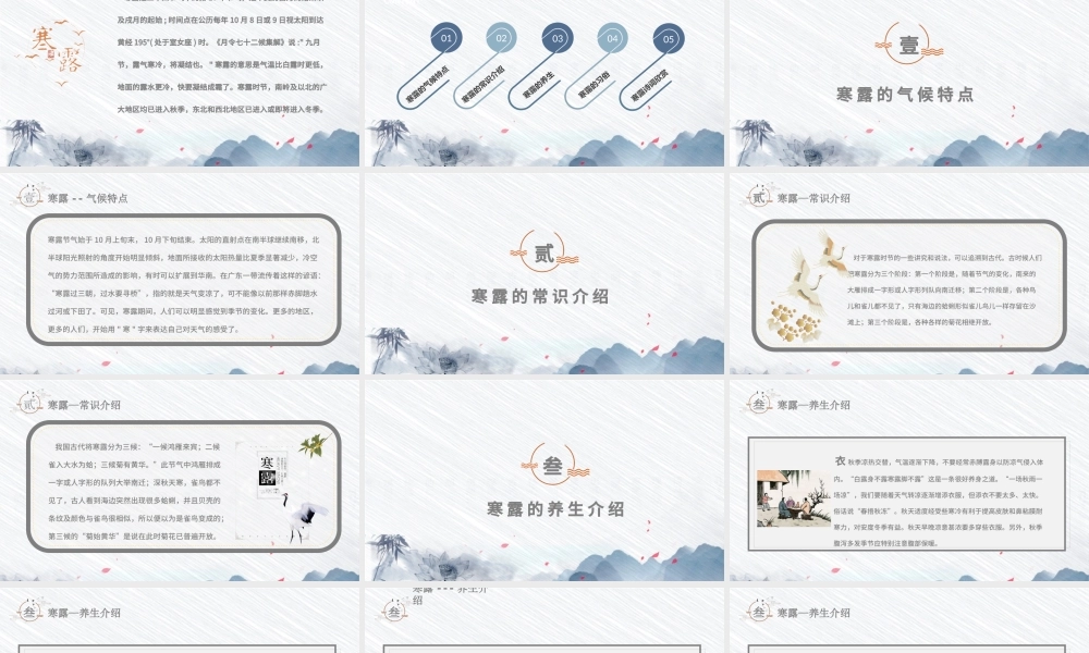 二十四节气之寒露灰白色简约PPT模板.pptx