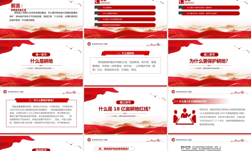 耕地保护普法PPT到党政风十分珍惜合理利用和切实保护耕地课件.pptx
