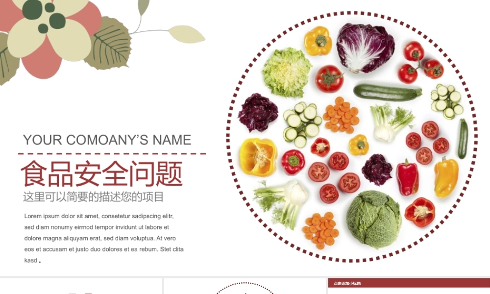 P9478-食品安全.pptx