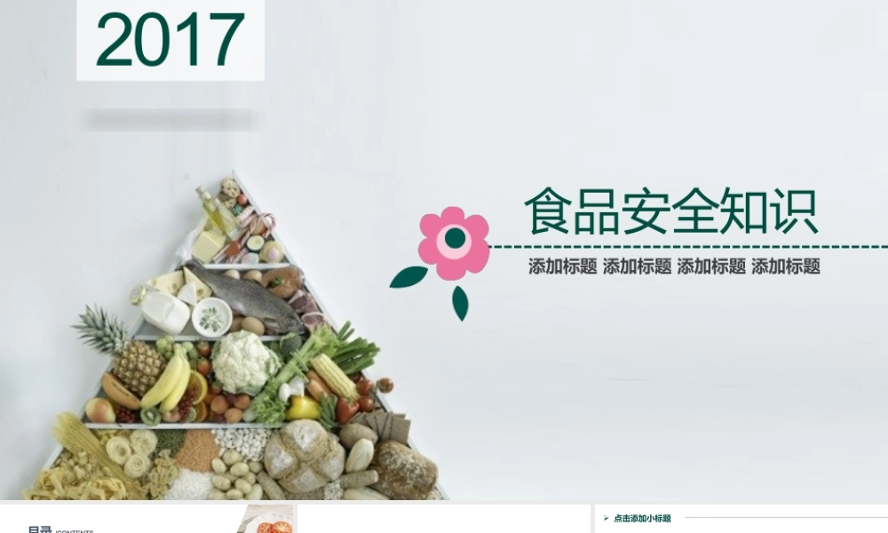 P9505-食品安全.pptx