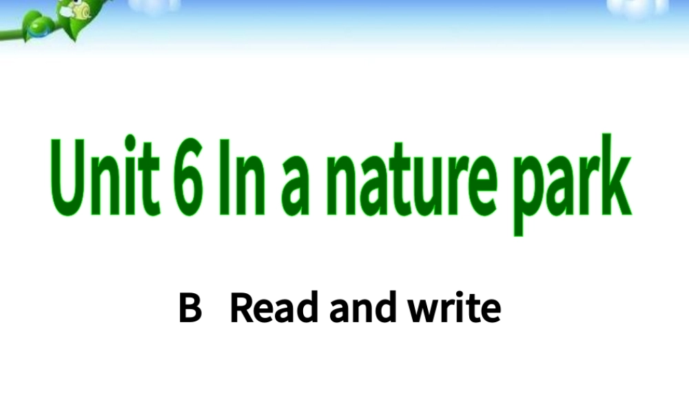 Unit 6 In a nature park英语课件PPT模板.pptx