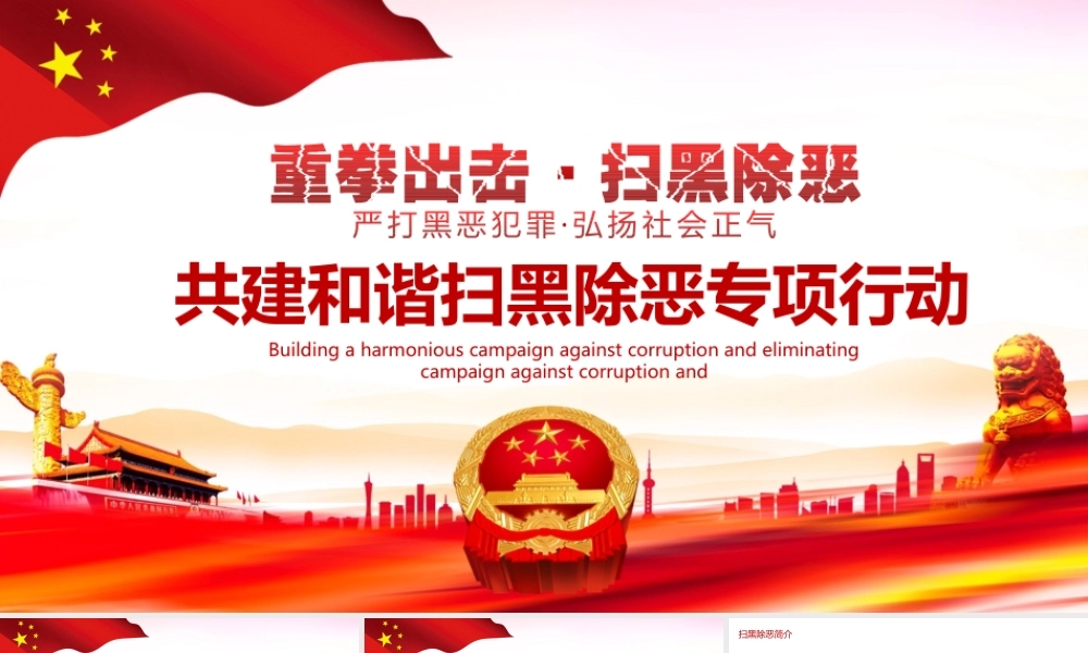 共建和谐扫黑除恶专项行动PPT.pptx