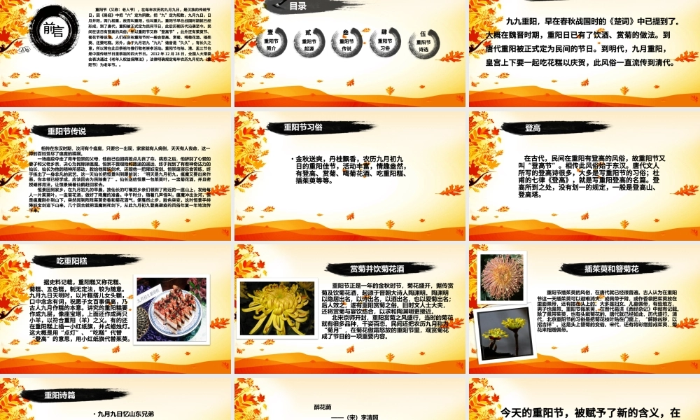 关爱老年人生活重阳节PPT模板.pptx