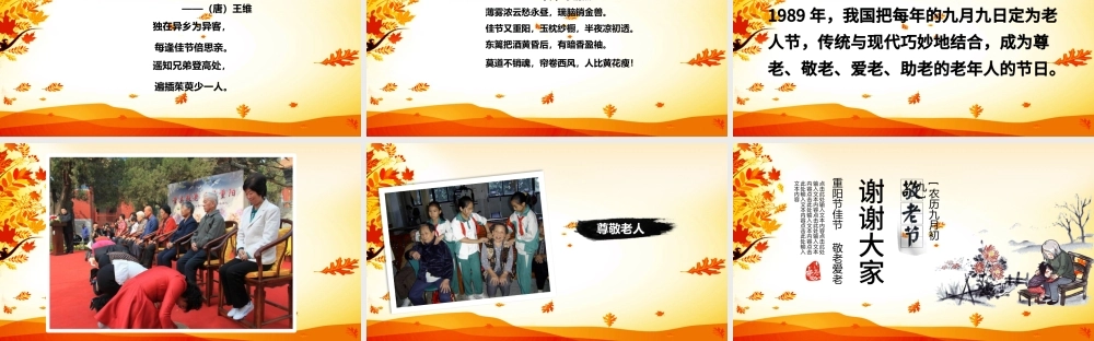 关爱老年人生活重阳节PPT模板.pptx