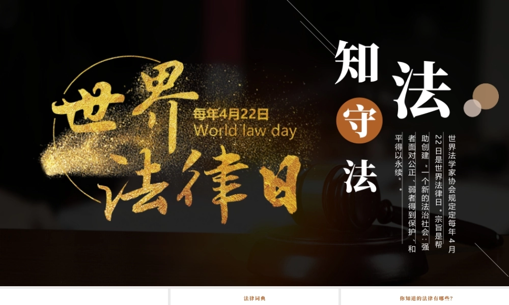 黑金简约大气世界法律日介绍.pptx