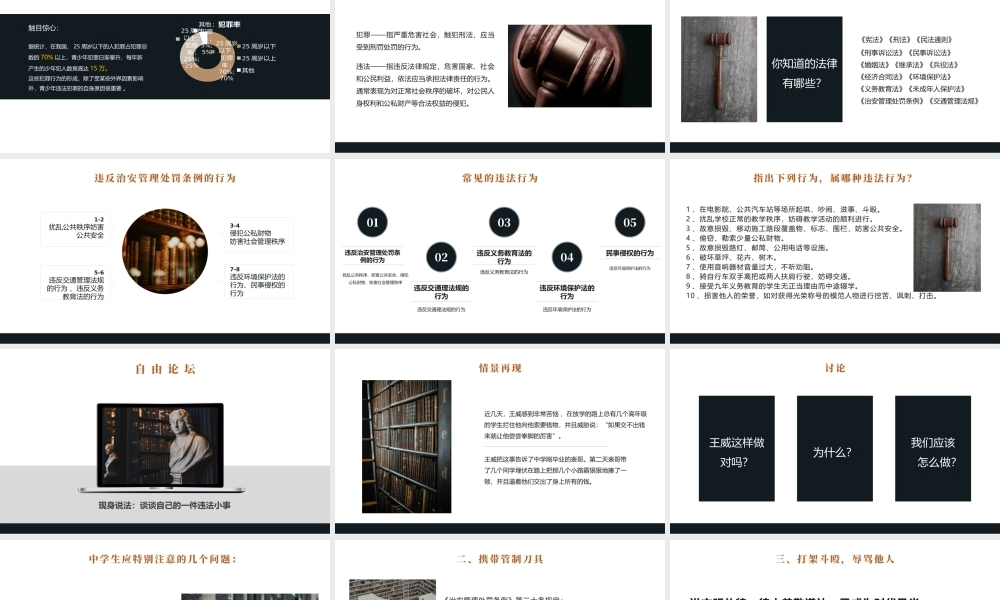 黑金简约大气世界法律日介绍.pptx