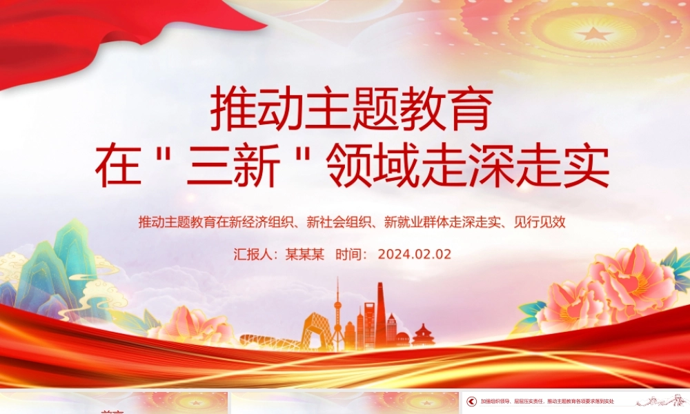 红色简洁三新领域主题教育经验做法PPT党课.pptx