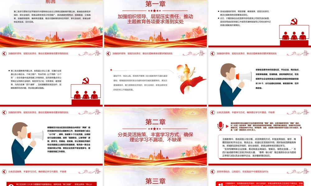 红色简洁三新领域主题教育经验做法PPT党课.pptx