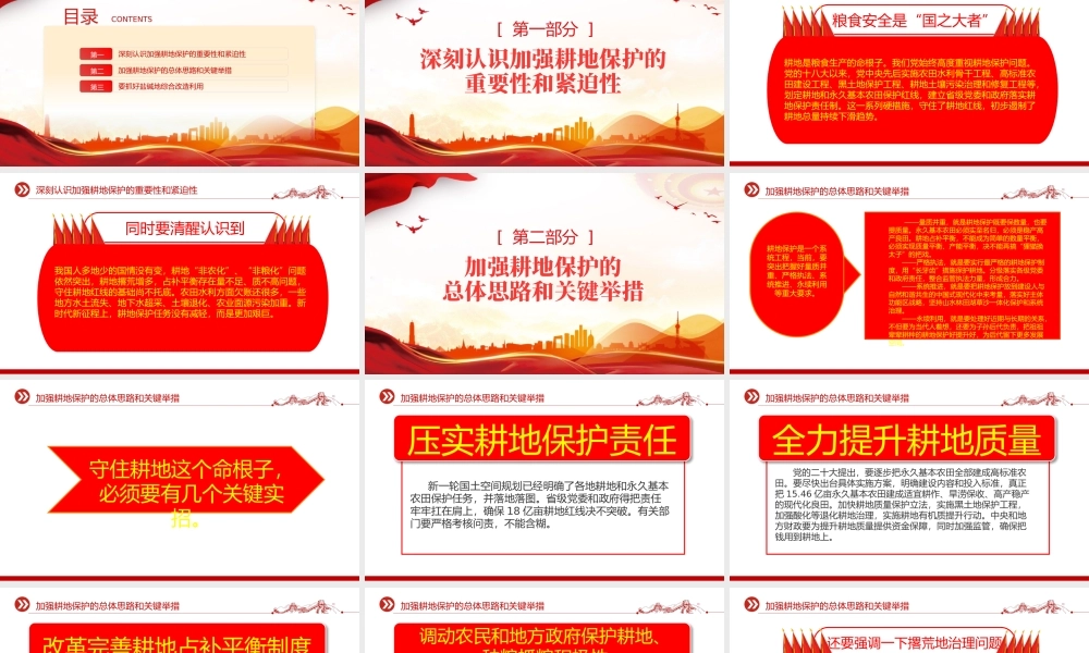 红色精美切实加强耕地保护抓好盐碱地综合改造利用专题PPT课件下载.pptx