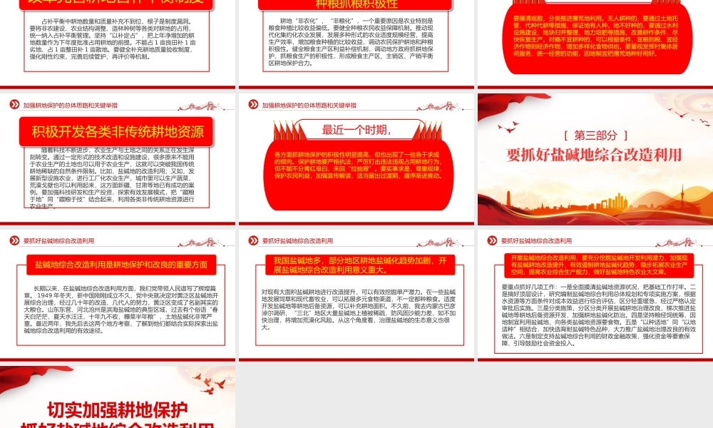 红色精美切实加强耕地保护抓好盐碱地综合改造利用专题PPT课件下载.pptx