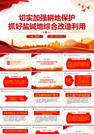 红色精美切实加强耕地保护抓好盐碱地综合改造利用专题PPT课件下载.pptx