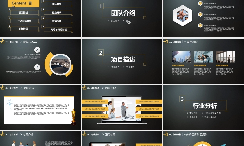 黄黑商业计划书.pptx