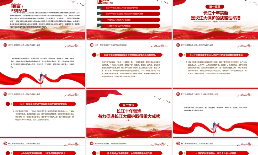 坚定不移推进长江十年禁渔PPT精美大气长江生态保护课件下载.pptx