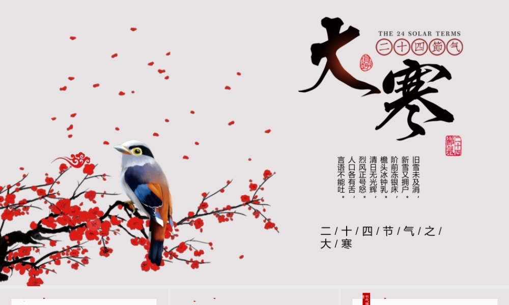 简约红杏二十四节气之大寒ppt.pptx
