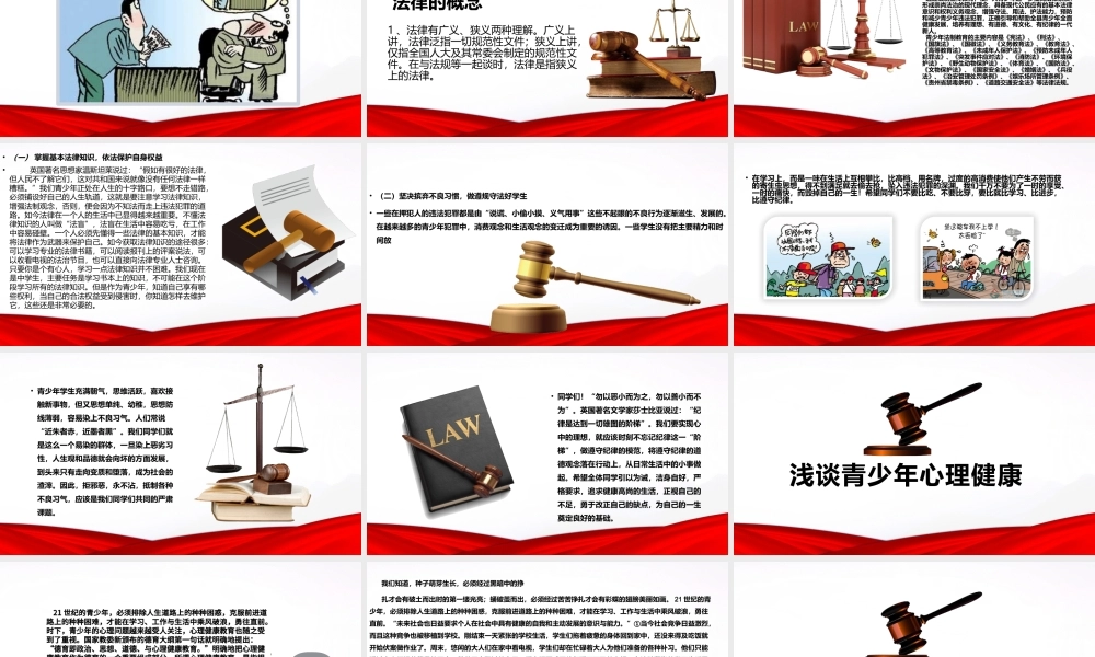 精美大气法制宣传日普法宪法会议报告PPT.pptx