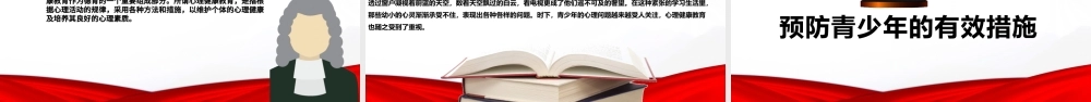 精美大气法制宣传日普法宪法会议报告PPT.pptx