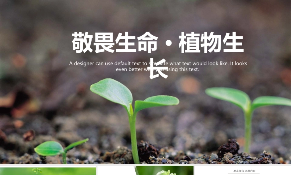 敬畏生命植物发芽PPT模板.pptx